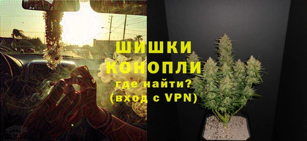 СК Белокуриха